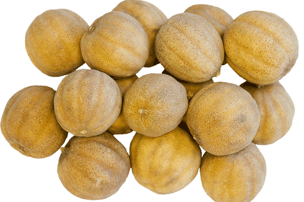 لیمو عمانی و ویژگی های آن قیمت لیمو امانی