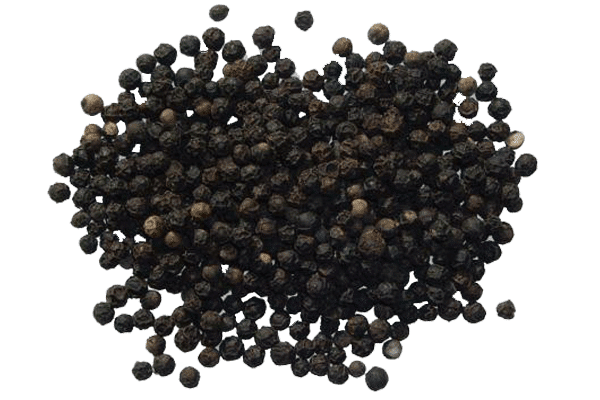 بررسی عطر و طعم فلفل سیاه لمپانگ اندونزی